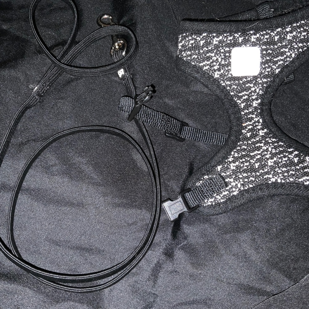 Cat harness